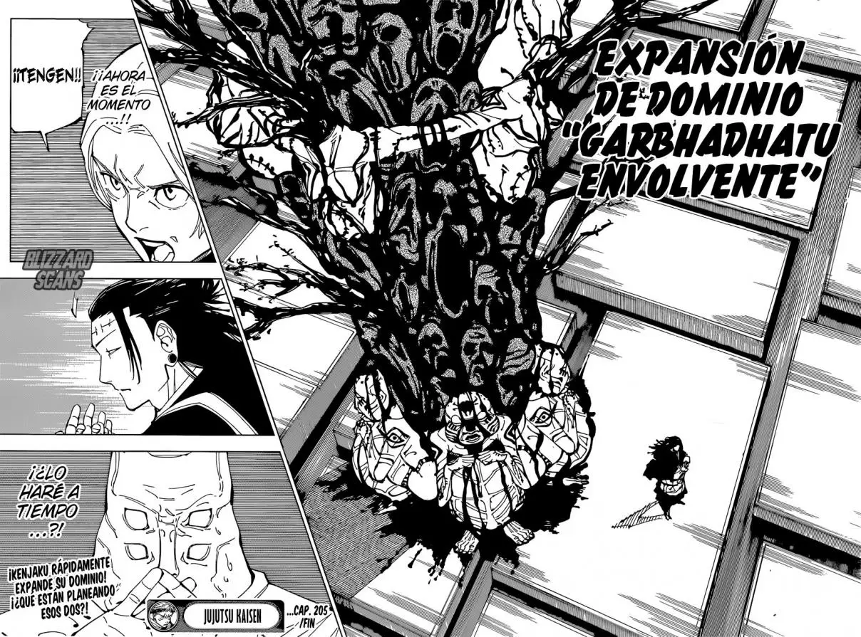 Jujutsu kaisen (2018) - Capítulo 205 - Página 17 - LectorTMOo