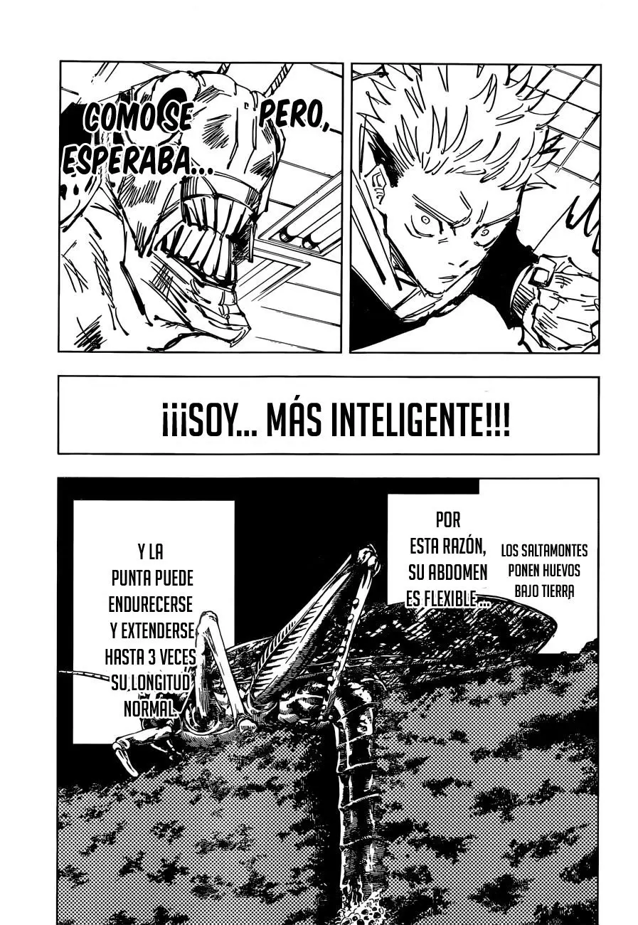 Jujutsu kaisen (2018) - Capítulo 87 - Página 14 - LectorTMOo