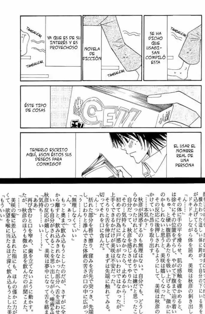 Junjo Romantica (2002) - Capítulo 14.2 - Página 29 - LectorTMOo