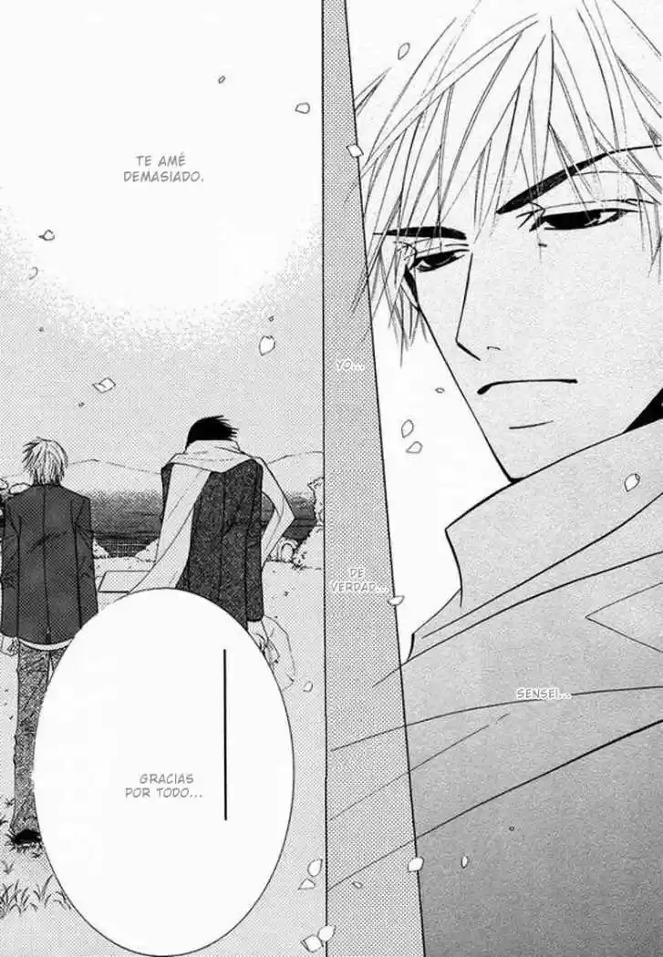 Junjo Romantica (2002) - Capítulo 27 - Página 16 - LectorTMOo