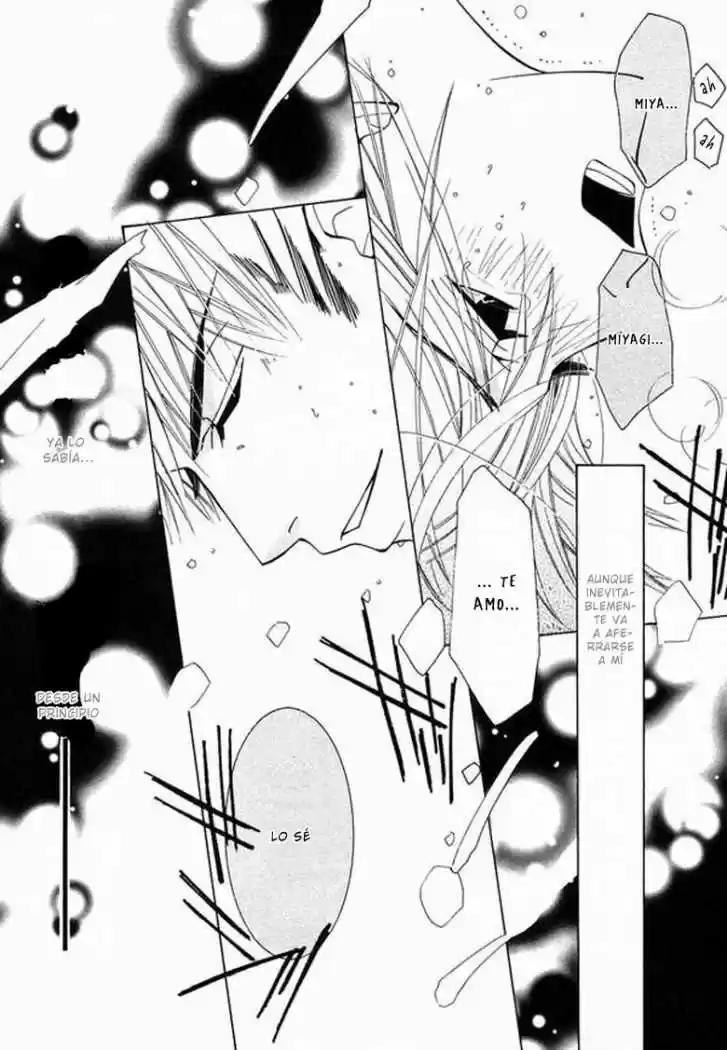 Junjo Romantica (2002) - Capítulo 27 - Página 38 - LectorTMOo