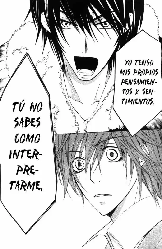 Junjo Romantica (2002) - Capítulo 33 - Página 19 - LectorTMOo