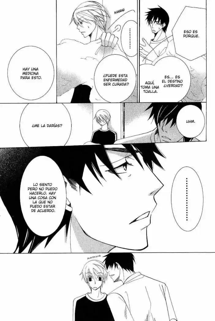 Junjo Romantica (2002) - Capítulo 43 - Página 19 - LectorTMOo