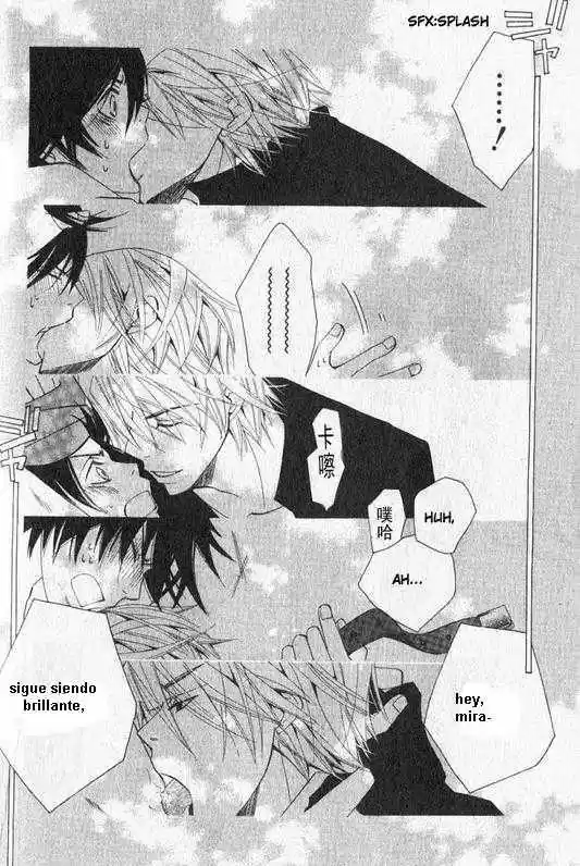 Junjo Romantica (2002) - Capítulo 48 - Página 53 - LectorTMOo
