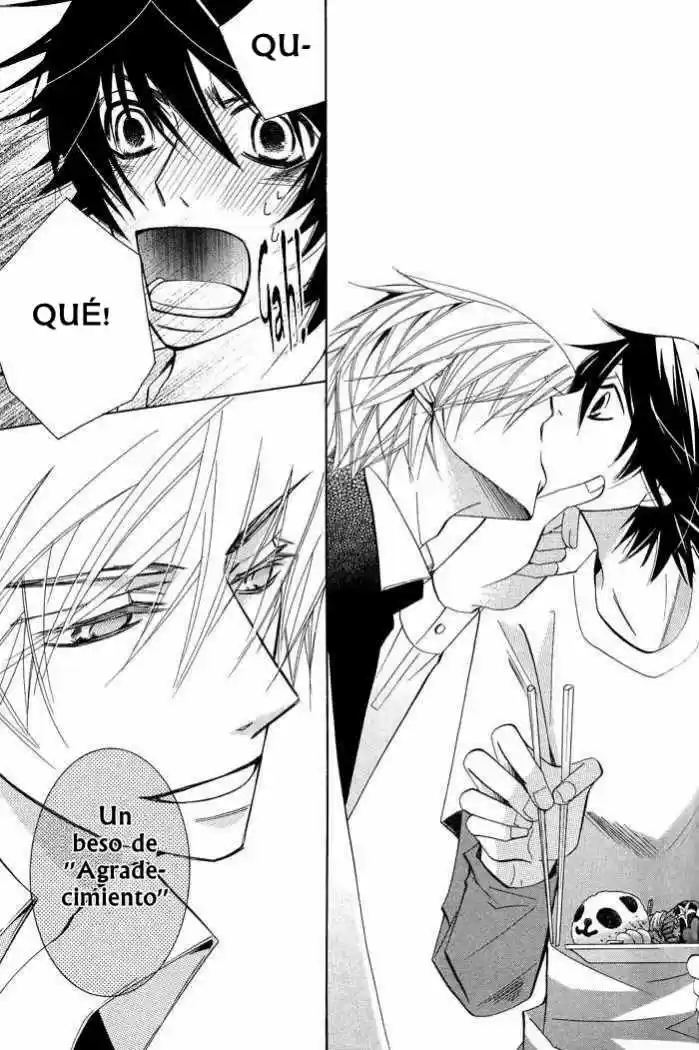 Junjo Romantica (2002) - Capítulo 49 - Página 17 - LectorTMOo
