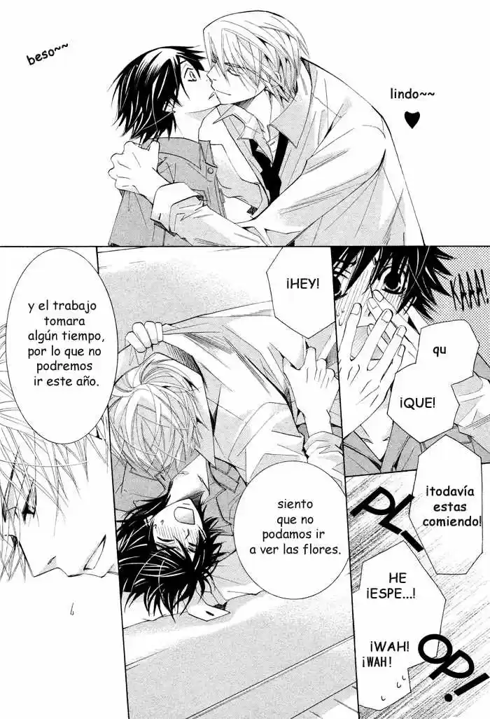 Junjo Romantica (2002) - Capítulo 50 - Página 10 - LectorTMOo
