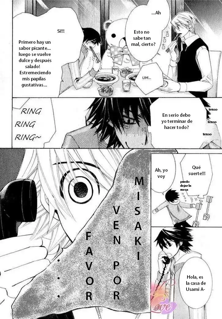 Junjo Romantica (2002) - Capítulo 55 - Página 17 - LectorTMOo