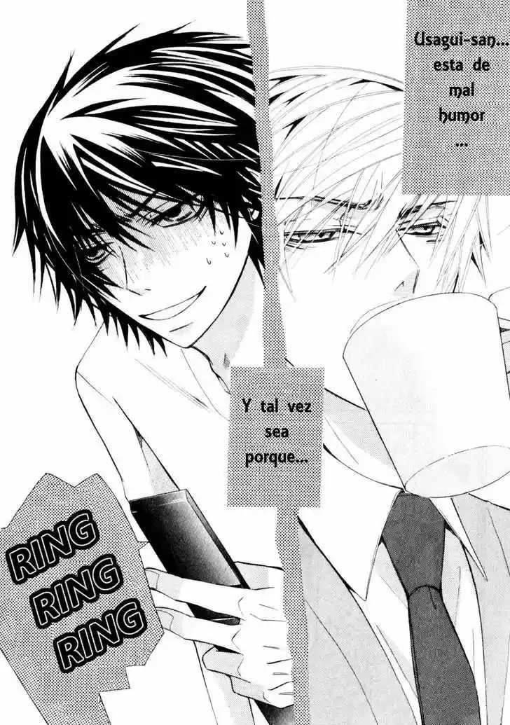 Junjo Romantica (2002) - Capítulo 56 - Página 2 - LectorTMOo