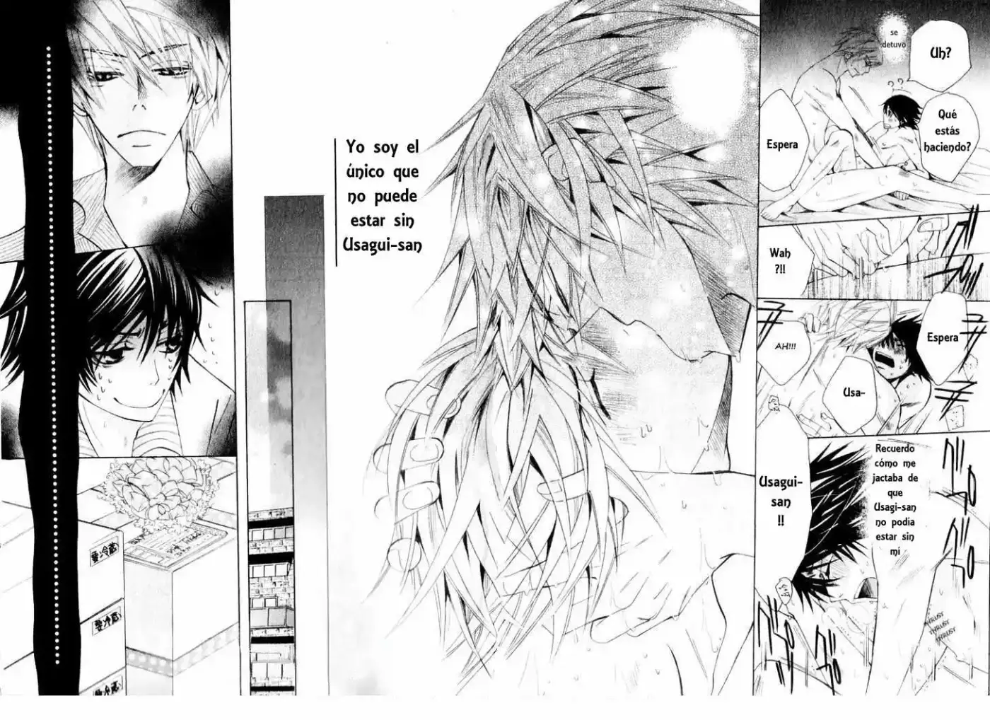 Junjo Romantica (2002) - Capítulo 56 - Página 66 - LectorTMOo