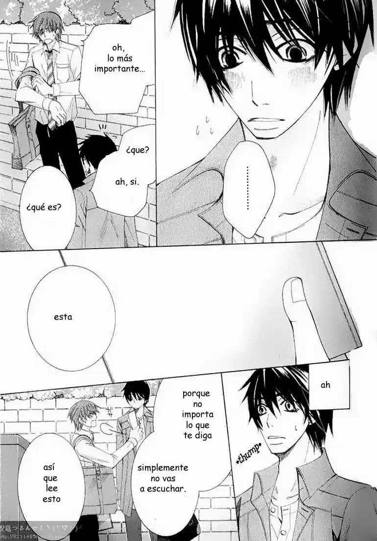 Junjo Romantica (2002) - Capítulo 57 - Página 17 - LectorTMOo