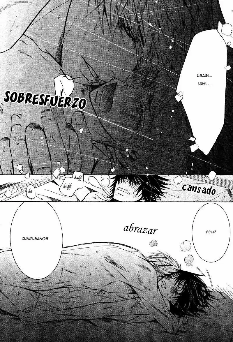 Junjo Romantica (2002) - Capítulo 65 - Página 56 - LectorTMOo