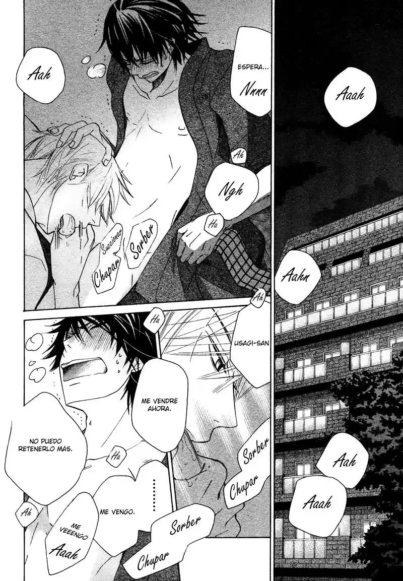 Junjo Romantica (2002) - Capítulo 67 - Página 40 - LectorTMOo