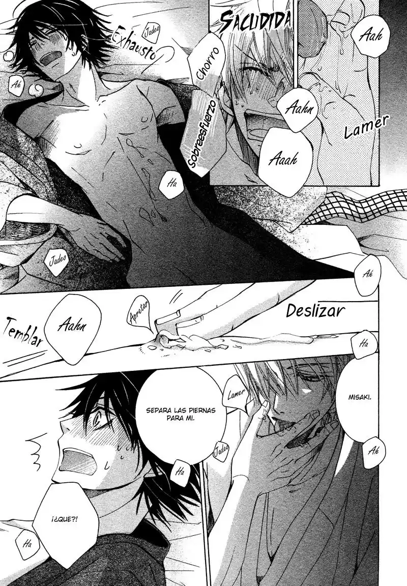 Junjo Romantica (2002) - Capítulo 67 - Página 41 - LectorTMOo