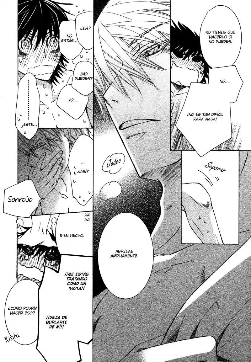 Junjo Romantica (2002) - Capítulo 67 - Página 42 - LectorTMOo