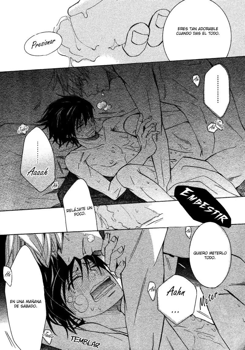 Junjo Romantica (2002) - Capítulo 67 - Página 43 - LectorTMOo