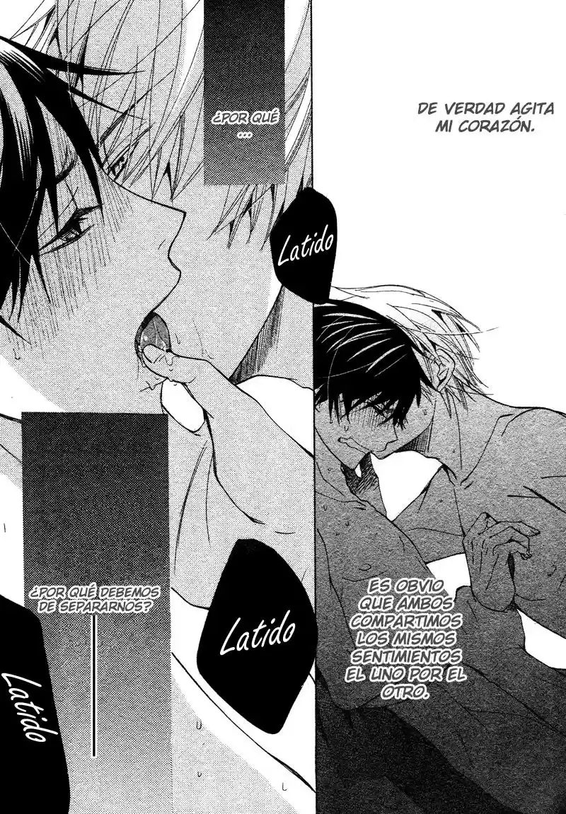 Junjo Romantica (2002) - Capítulo 67 - Página 47 - LectorTMOo