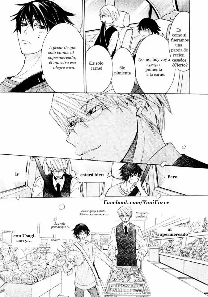 Junjo Romantica (2002) - Capítulo 71 - Página 11 - LectorTMOo