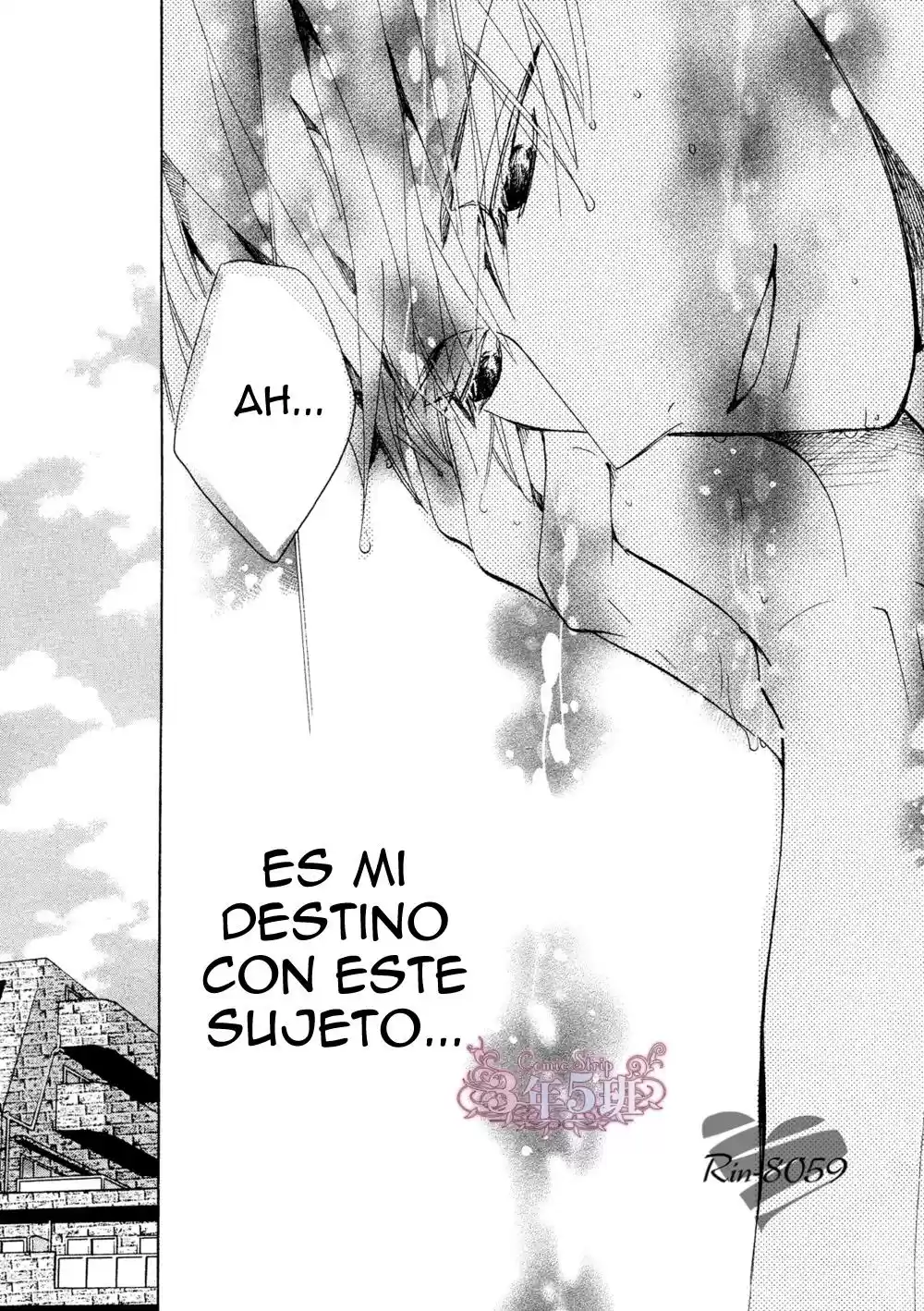 Junjo Romantica (2002) - Capítulo 72 - Página 52 - LectorTMOo