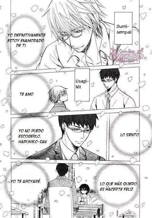 Junjo Romantica (2002) - Capítulo 73 - Página 13 - LectorTMOo