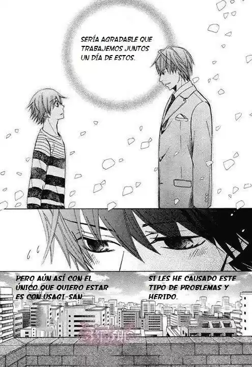 Junjo Romantica (2002) - Capítulo 73 - Página 17 - LectorTMOo