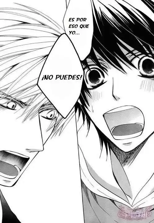 Junjo Romantica (2002) - Capítulo 73 - Página 36 - LectorTMOo