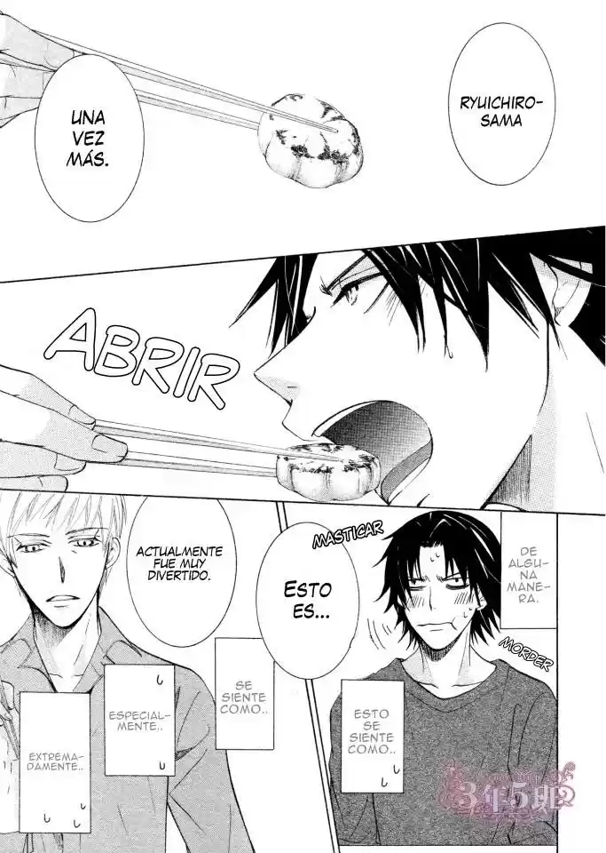 Junjo Romantica (2002) - Capítulo 75.3 - Página 9 - LectorTMOo