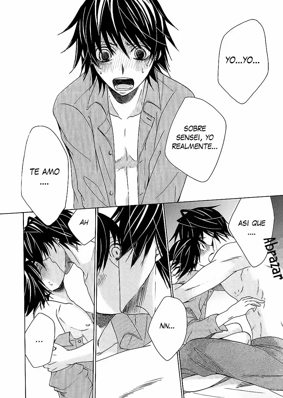 Junjo Romantica (2002) - Capítulo 80.1 - Página 5 - LectorTMOo