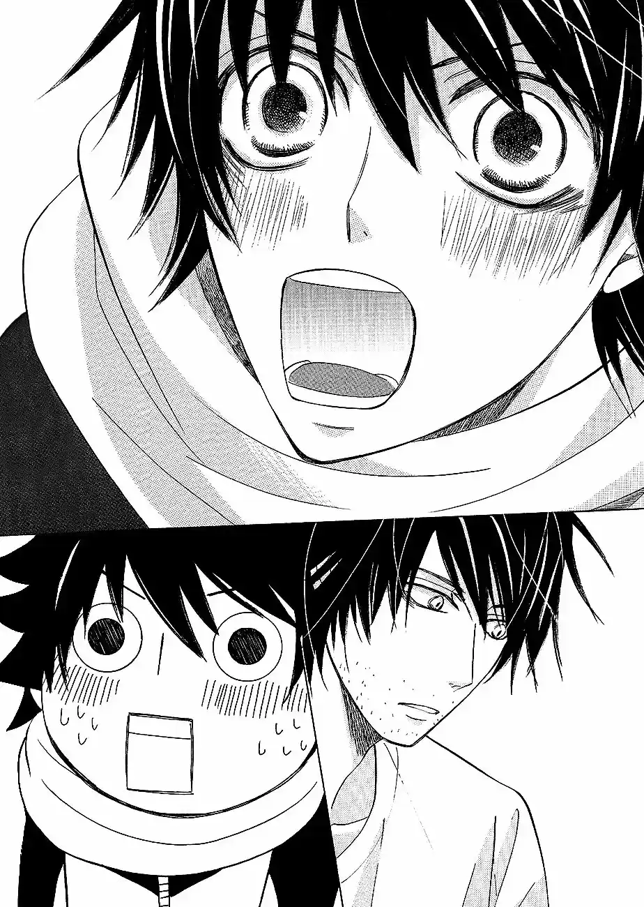 Junjo Romantica (2002) - Capítulo 80.1 - Página 21 - LectorTMOo