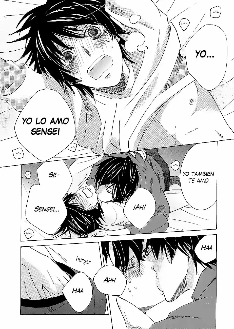 Junjo Romantica (2002) - Capítulo 80.2 - Página 17 - LectorTMOo