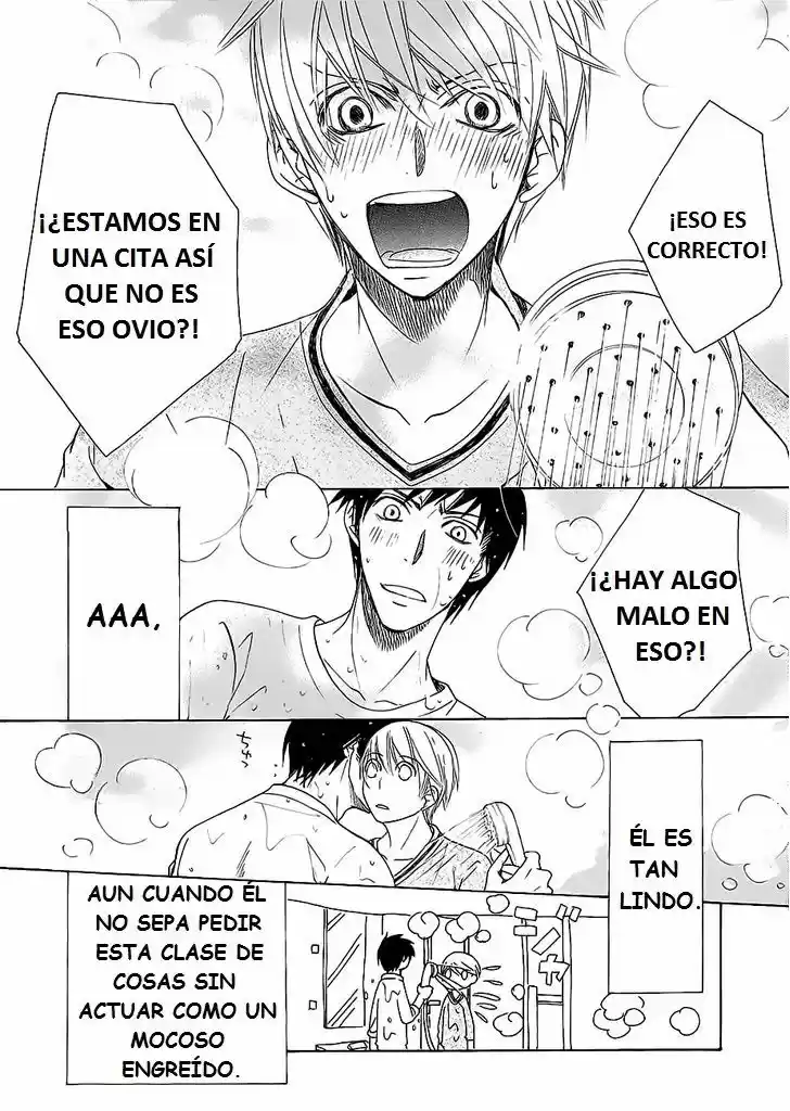 Junjo Romantica (2002) - Capítulo 81.1 - Página 13 - LectorTMOo