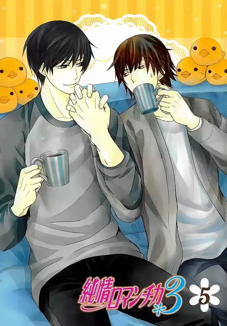 Junjo Romantica (2002) - Capítulo 81.3 - Página 17 - LectorTMOo