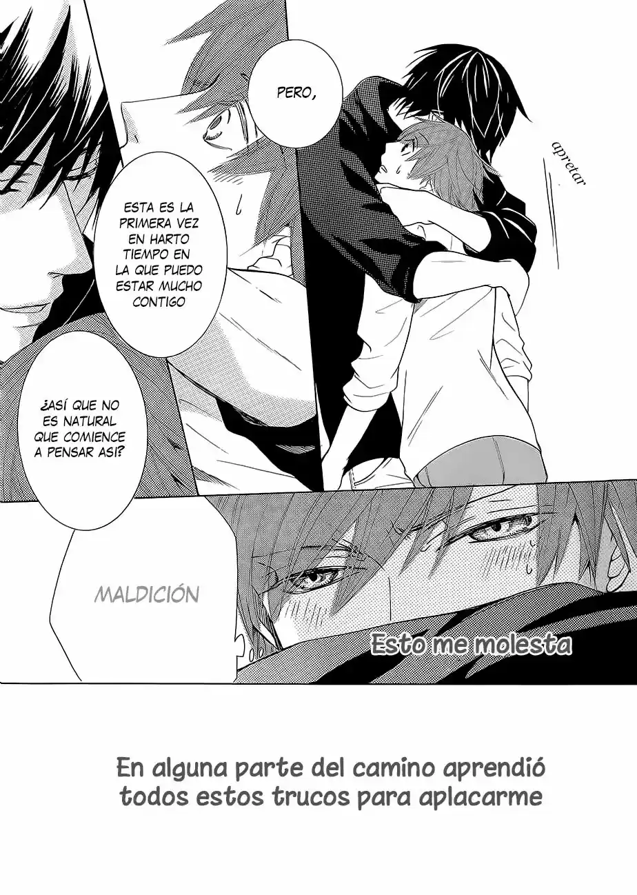 Junjo Romantica (2002) - Capítulo 81.5 - Página 23 - LectorTMOo