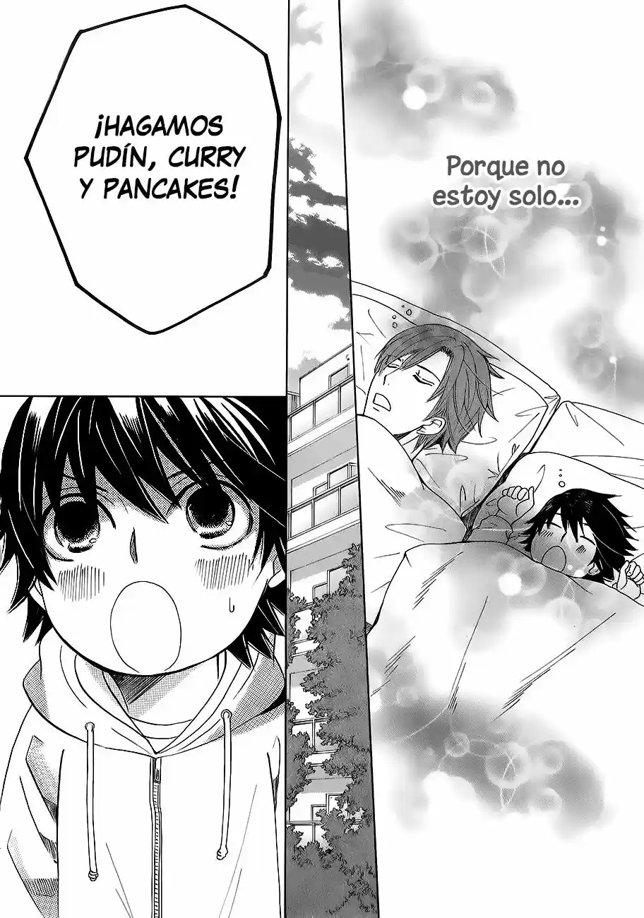 Junjo Romantica (2002) - Capítulo 82.1 - Página 18 - LectorTMOo