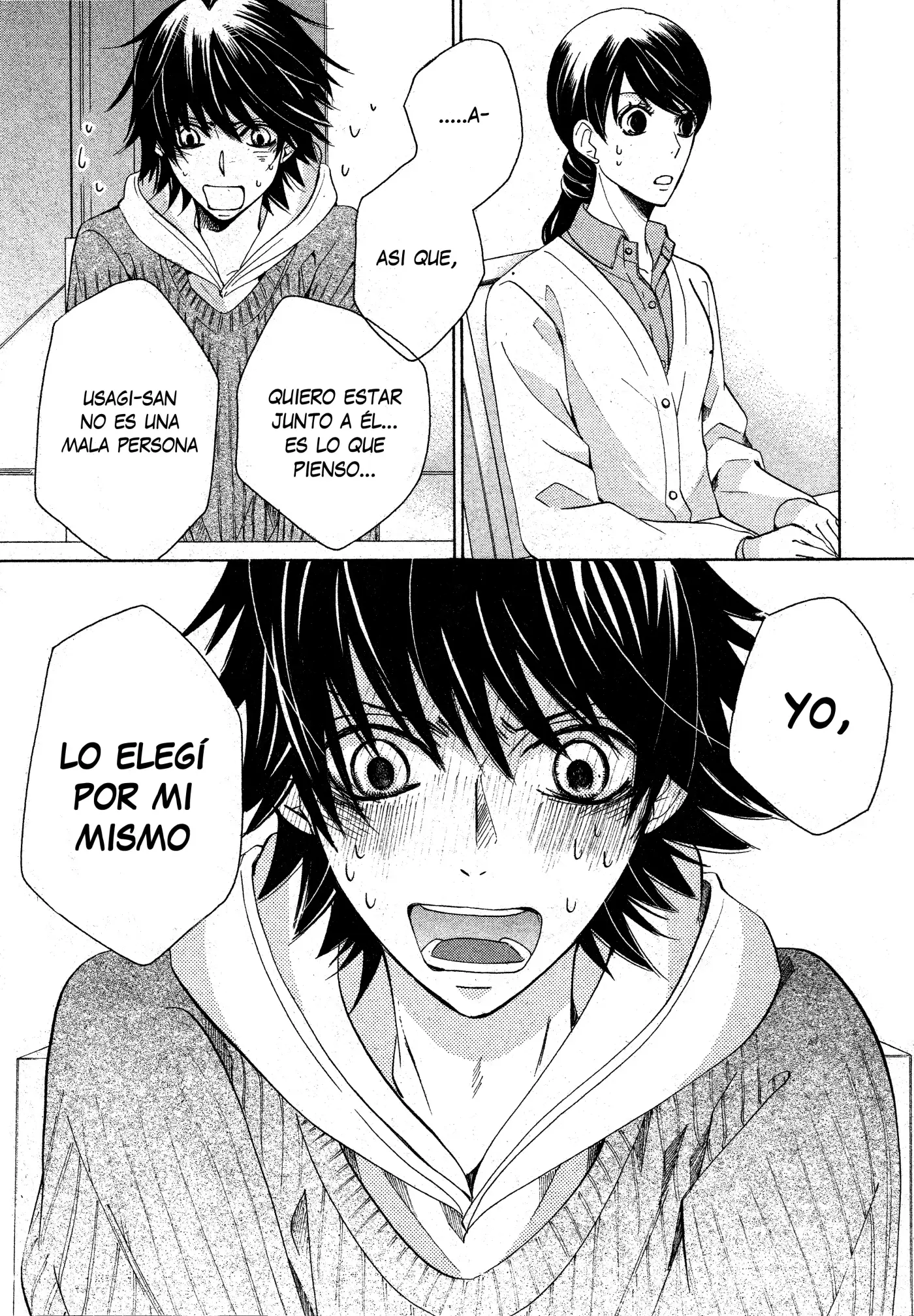 Junjo Romantica (2002) - Capítulo 85 - Página 12 - LectorTMOo