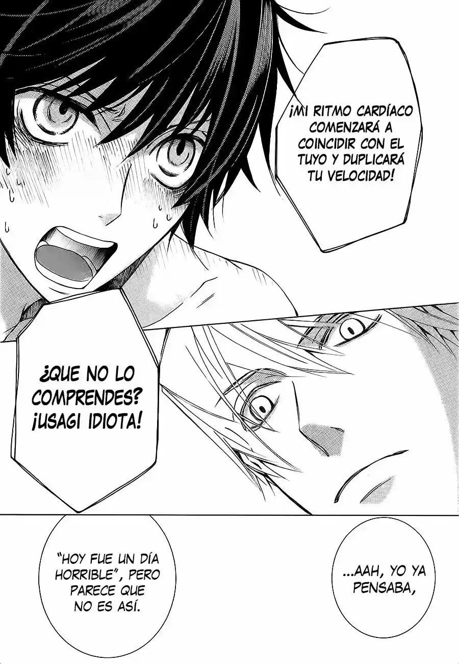 Junjo Romantica (2002) - Capítulo 86 - Página 41 - LectorTMOo