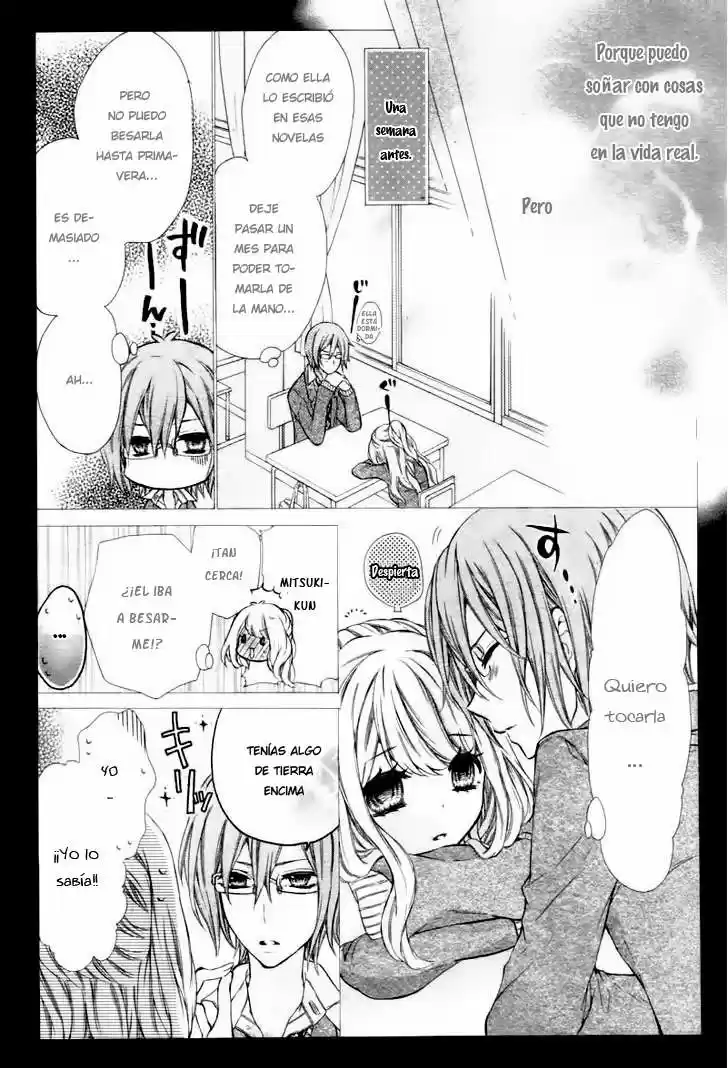 Junjou x Junjou Honey (2013) - Capítulo - Página 32 - LectorTMOo