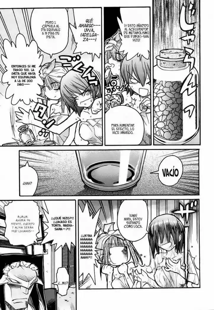 Kamen no Maid Guy (2004) - Capítulo 9 - Página 17 - LectorTMOo