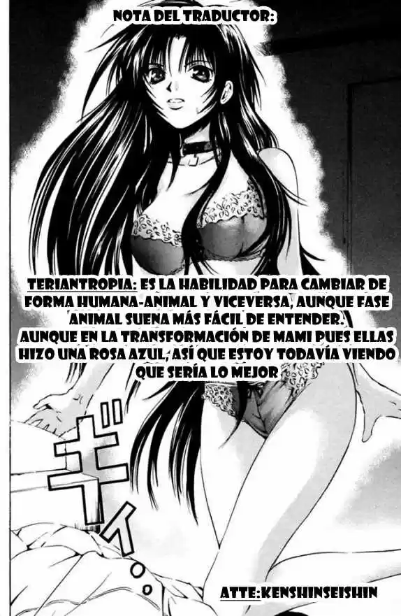 Kami to Sengoku Seitokai (2008) - Capítulo 32 - Página 25 - LectorTMOo