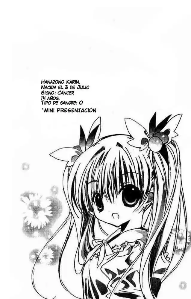 Kamichama Karin-Chu (2002) - Capítulo 2 - Página 3 - LectorTMOo