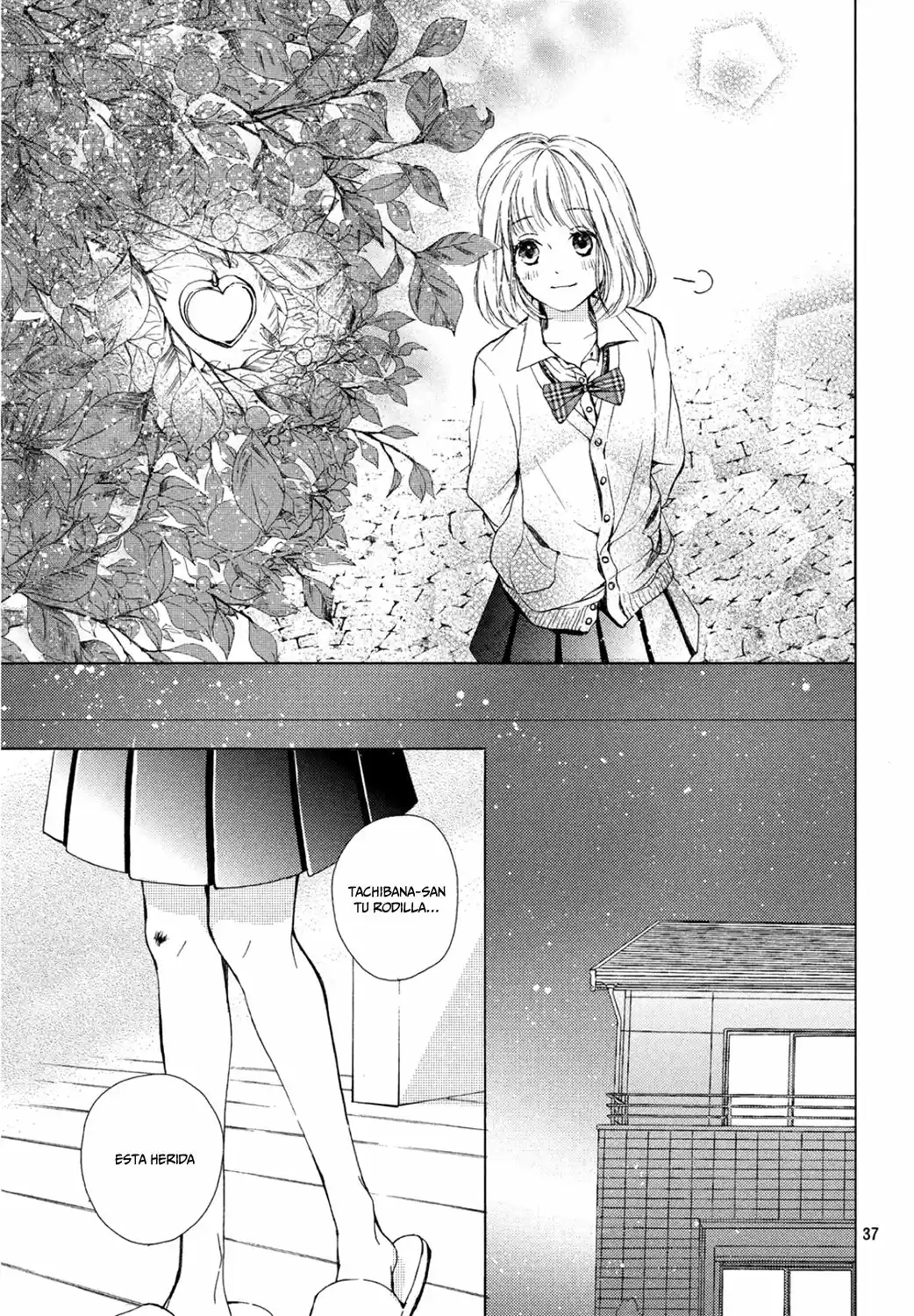 Kamiki Kyoudai Okotowari (2015) - Capítulo 9 - Página 37 - LectorTMOo