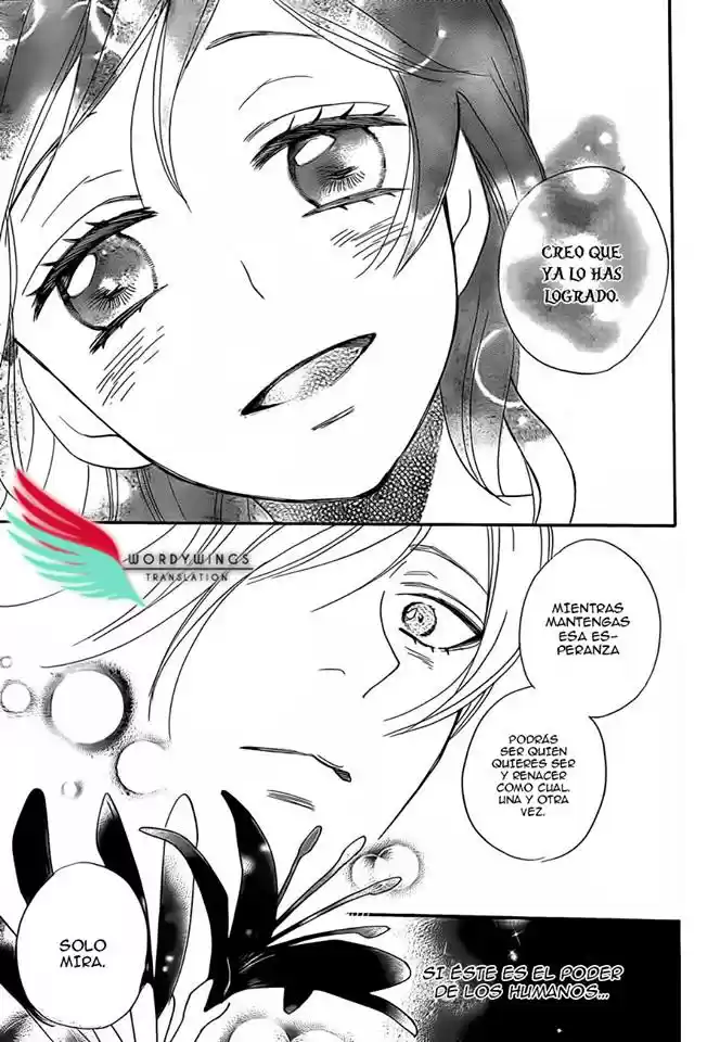 Kamisama Kiss (2012) - Capítulo 135 - Página 32 - LectorTMOo