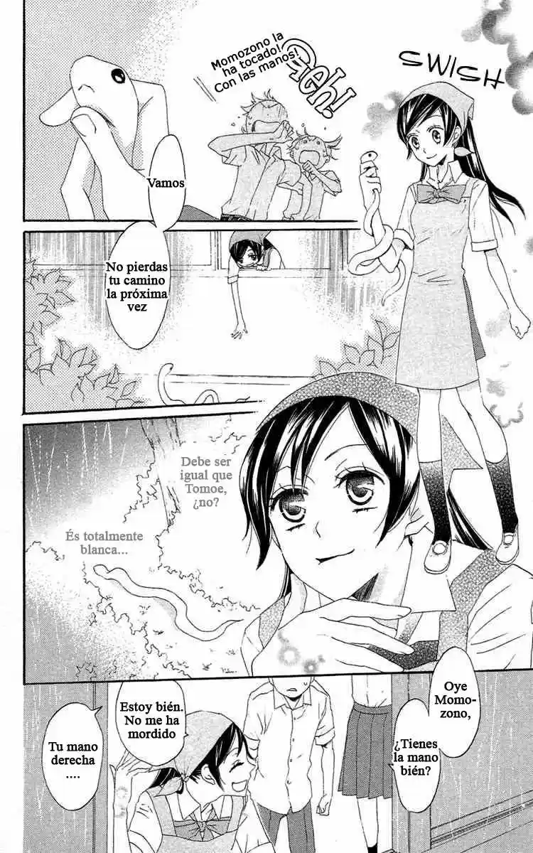 Kamisama Kiss (2012) - Capítulo 14 - Página 4 - LectorTMOo