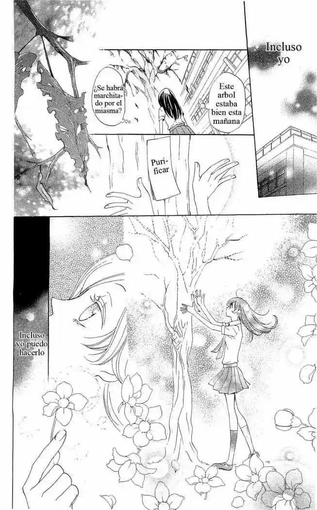 Kamisama Kiss (2012) - Capítulo 33 - Página 20 - LectorTMOo