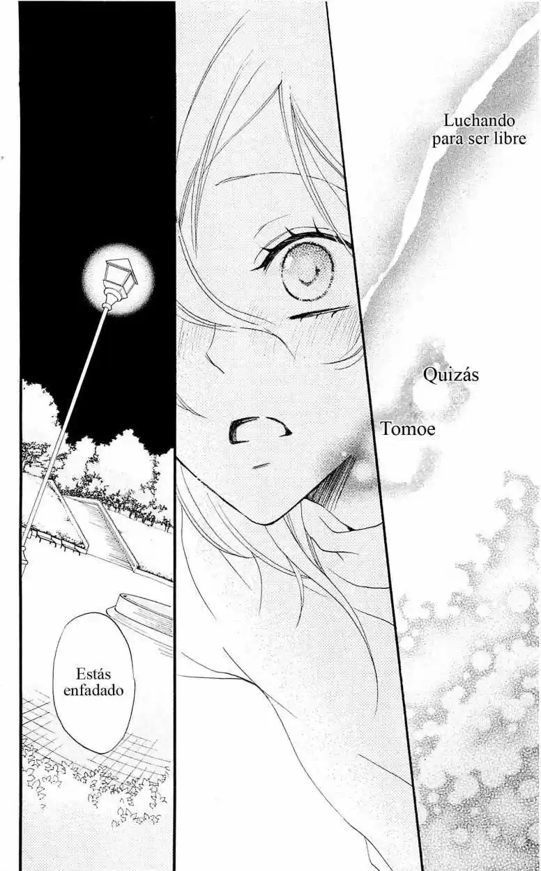Kamisama Kiss (2012) - Capítulo 50 - Página 25 - LectorTMOo