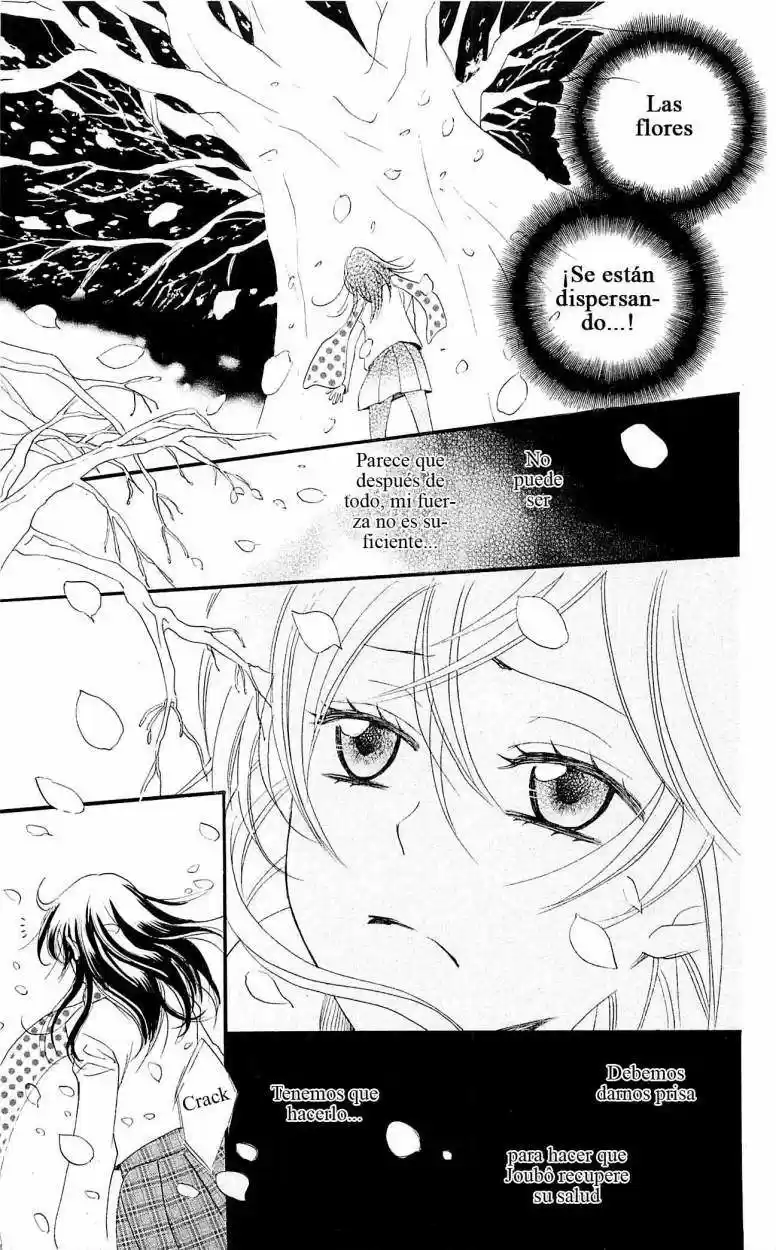 Kamisama Kiss (2012) - Capítulo 53 - Página 28 - LectorTMOo