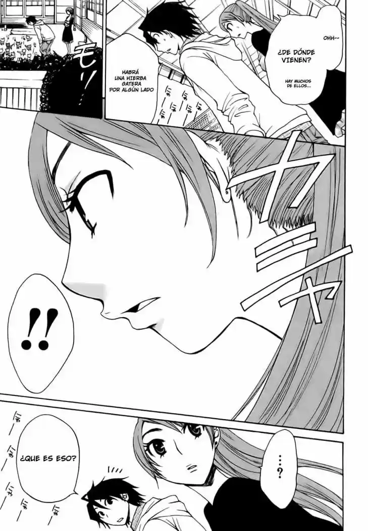 Kanojo wa Kannou Shousetsuka (2006) - Capítulo 29 - Página 13 - LectorTMOo