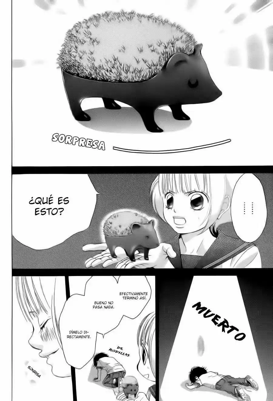 Kanojo wa Uso wo Aishisugiteru (2009) - Capítulo 40 - Página 17 - LectorTMOo