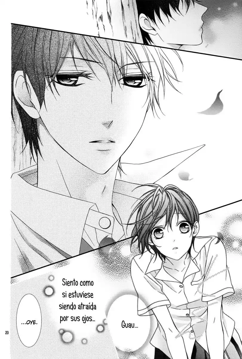 Kaoru-kun to Hana no Mori (2016) - Capítulo 1 - Página 24 - LectorTMOo