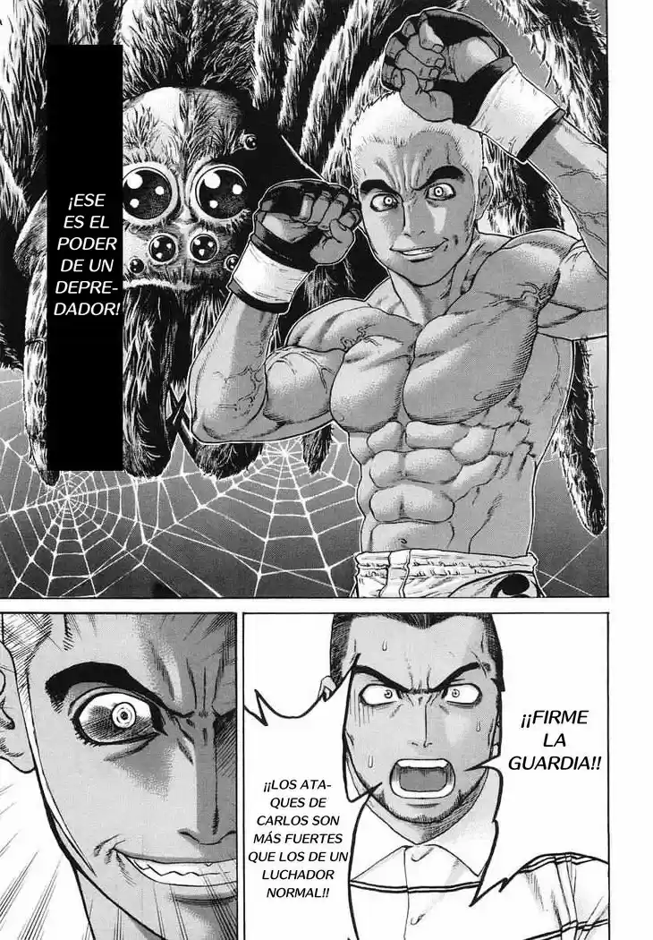 Karate Shoukoushi Kohinata Minoru (2000) - Capítulo 205 - Página 16 - LectorTMOo