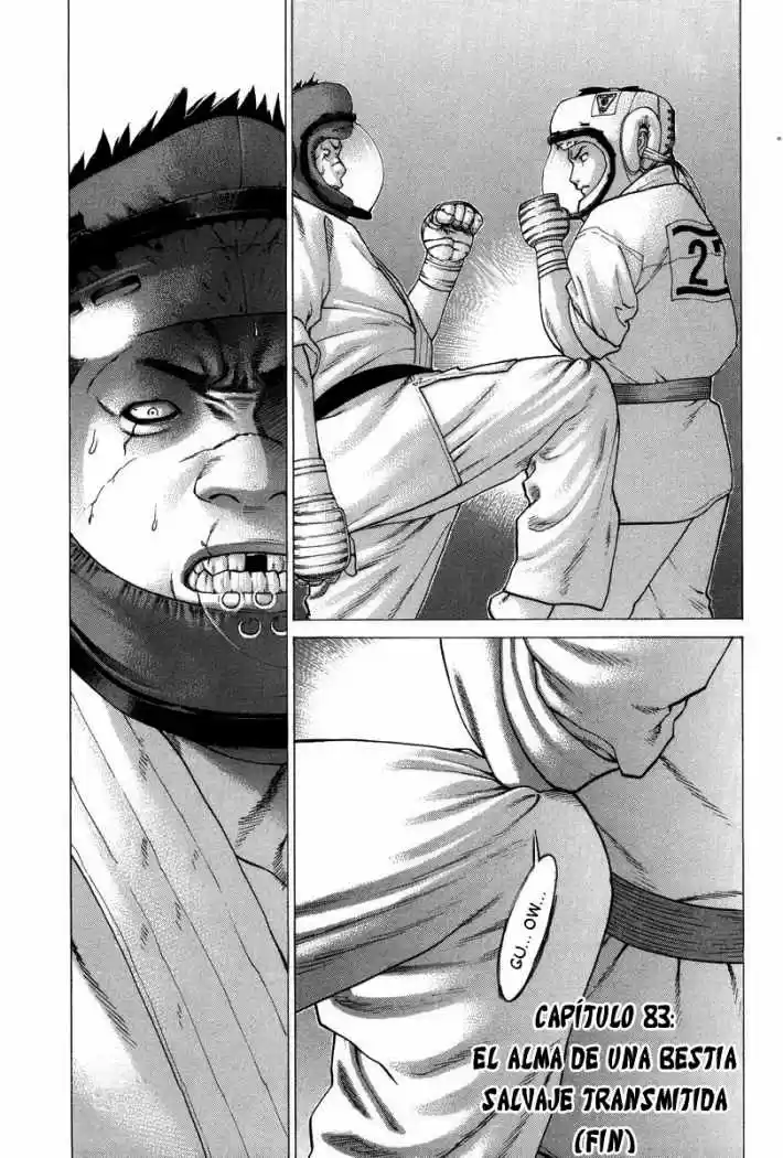 Karate Shoukoushi Kohinata Minoru (2000) - Capítulo 83 - Página 19 - LectorTMOo
